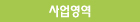 사업영역