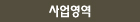 사업영역